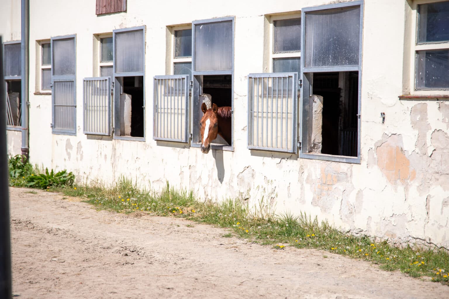 Boxen